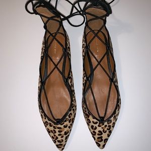 Zara Lace-up Leopard Print Pointed Toe Flats 6